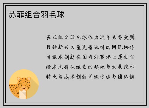 苏菲组合羽毛球