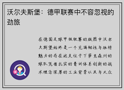 沃尔夫斯堡：德甲联赛中不容忽视的劲旅